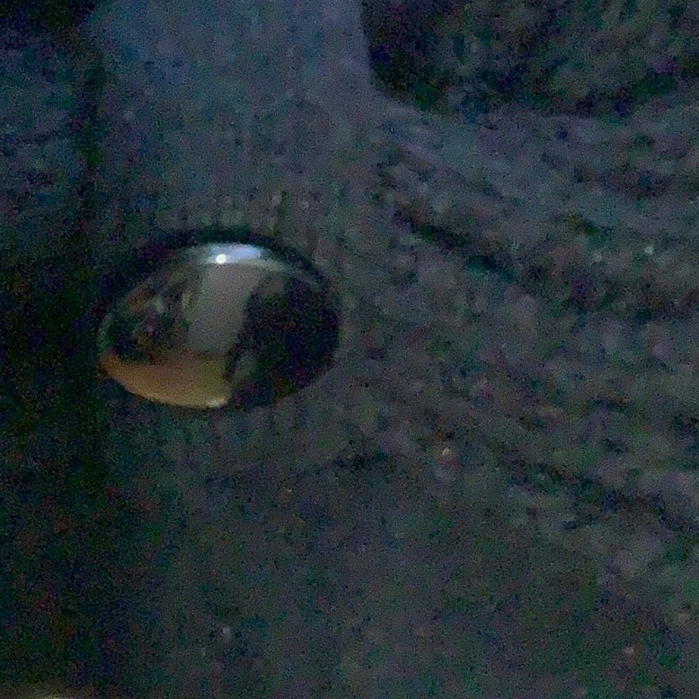 JL Sweater - Picture 6 of 6